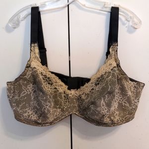 40D Wonderbra